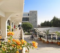 Acompañamiento académico en IUEM